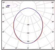  ������ ���� �����